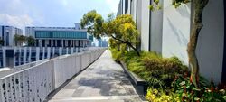Blk 1D The Pinnacle@Duxton (Bukit Merah), HDB 4 Rooms #594561401